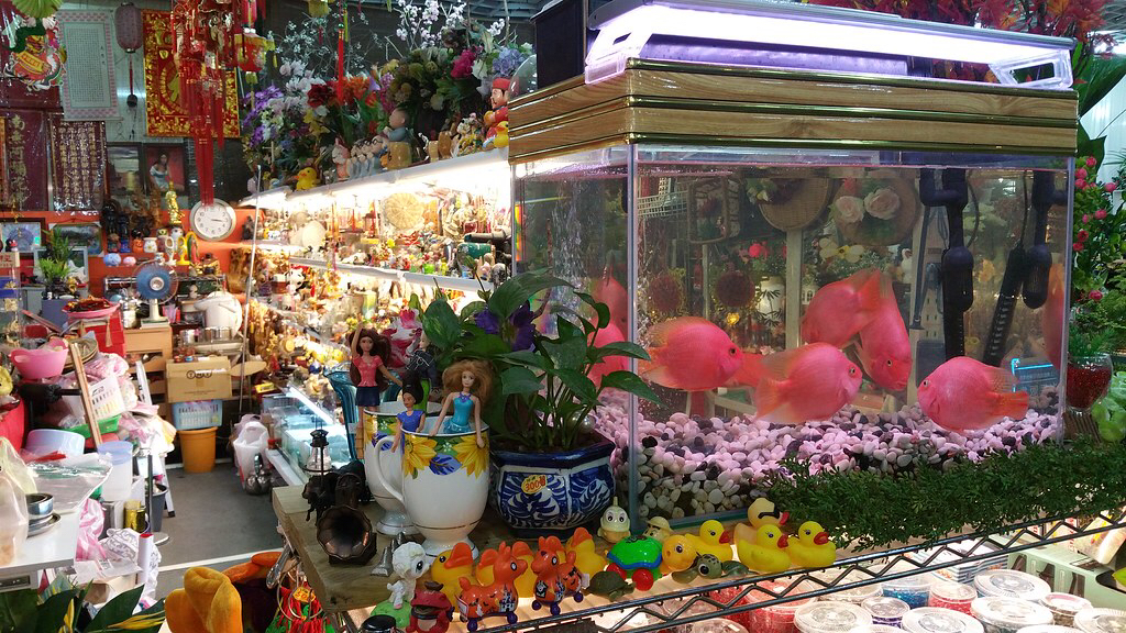 立隆禮品水族館現場照片 1